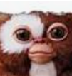 Image of an mogwai, aka gizmore.